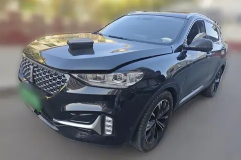 Wey VV6 2021