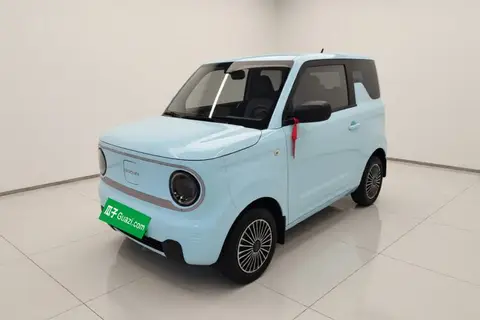 Geely Panda 2024