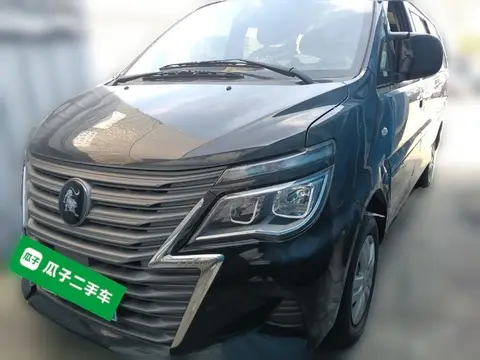 Forthing Lingzhi 2023
