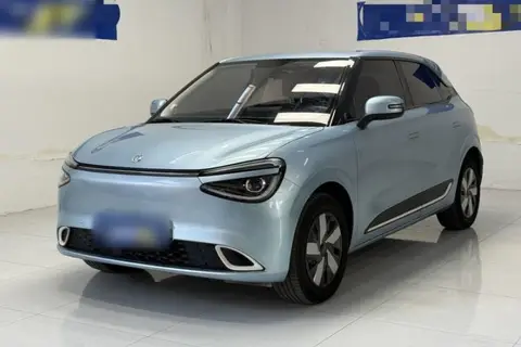 Dongfeng Nammi 01 2024