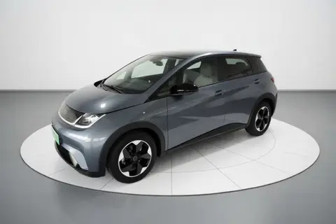 BYD Dolphin 2024
