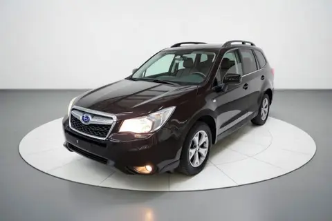 Subaru Forester 2014