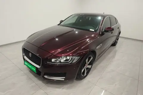 Jaguar XFL 2019