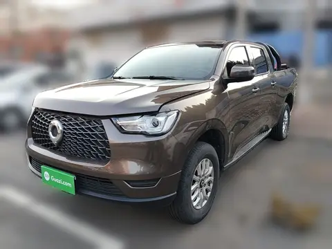 Great Wall Poer 2020