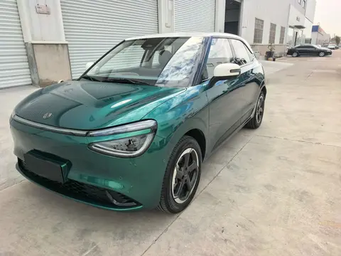 Dongfeng Nammi 01 2025