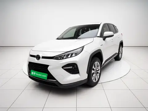 Toyota Wildlander 2022