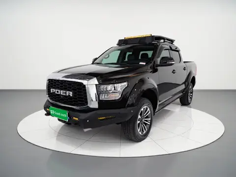 Great Wall Shanhai Poer 2023