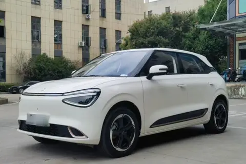 Dongfeng Nammi 01 2024