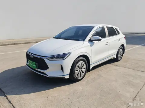BYD e2 2019