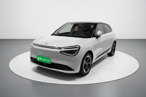 Dongfeng Nammi 01 2024