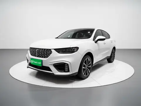 Wey VV5 2020