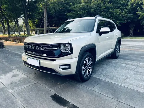 Haval H Dog 2025