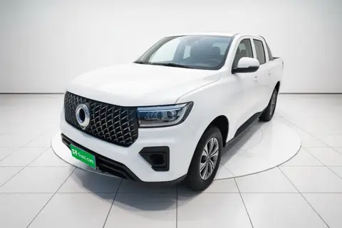 Great Wall Poer 2024
