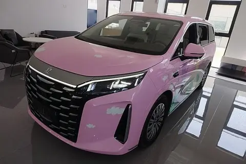 BYD Xia 2024