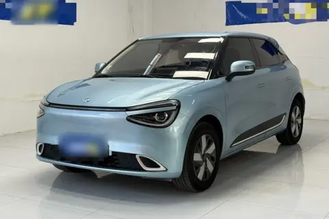 Dongfeng Nammi 01 2024
