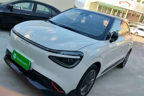 Dongfeng Nammi 01 2024