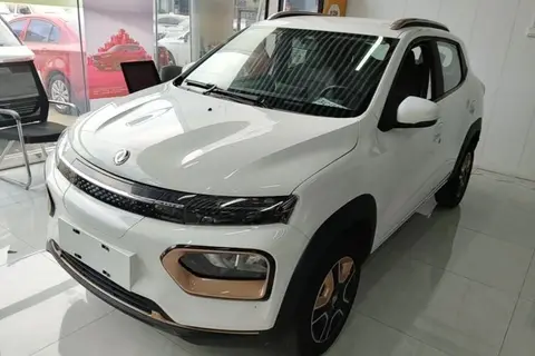 Dongfeng Nammi Box 2023