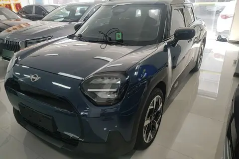 MINI ACEMAN 2024