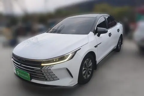 BYD Destroyer 05 2024