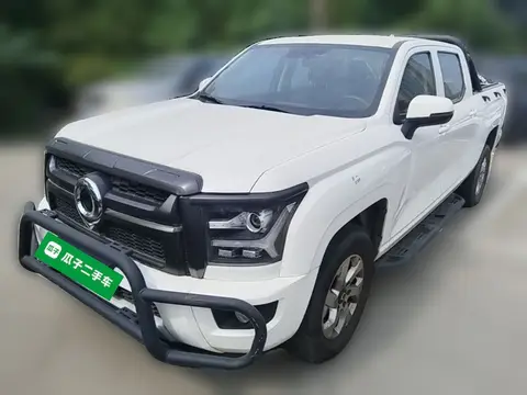 Great Wall King Kong Poer 2024