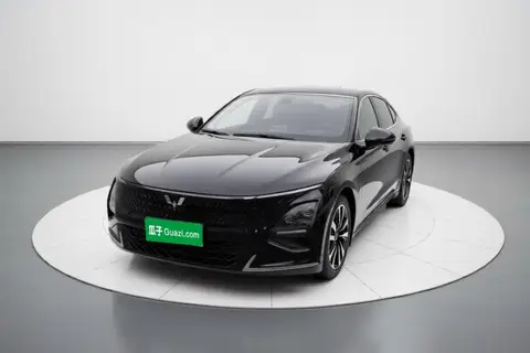 Wuling Xingguang 2023