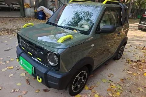 Geely Panda 2024