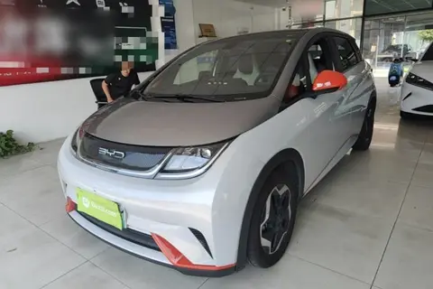 BYD Dolphin 2021