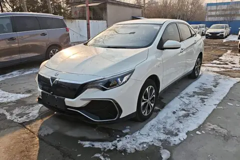 Venucia D60EV 2021