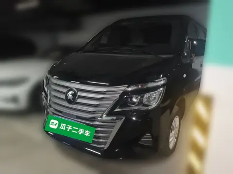 Forthing Lingzhi 2024