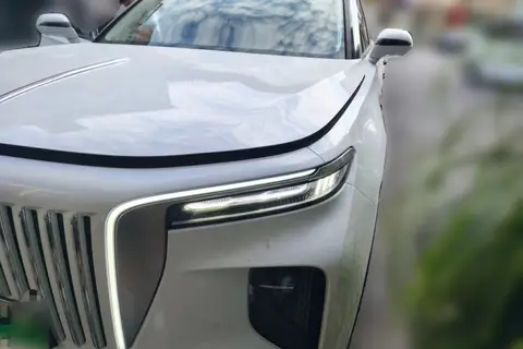 Hongqi E-HS9 2021