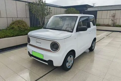Geely Panda 2025