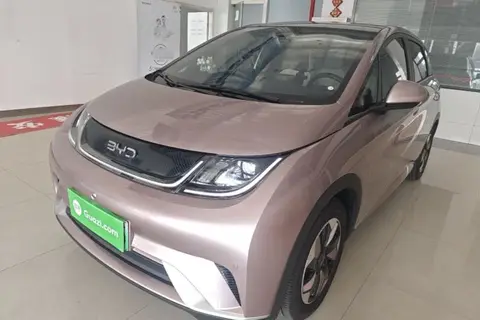 BYD Dolphin 2024