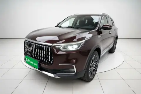 Leopaard Mattu 2019