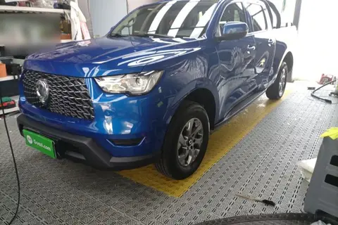 Great Wall Poer 2023