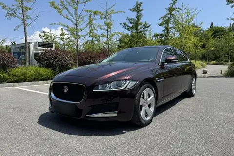 Jaguar XFL 2019