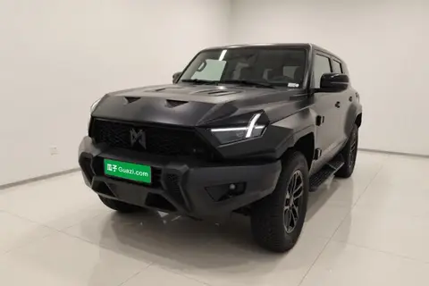 Mengshi 917 2024