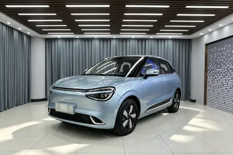 Dongfeng Nammi 01 2024