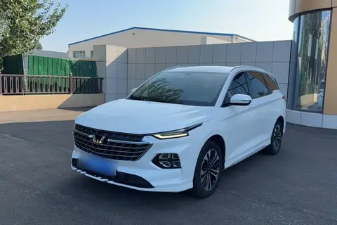 Wuling Victory 2021