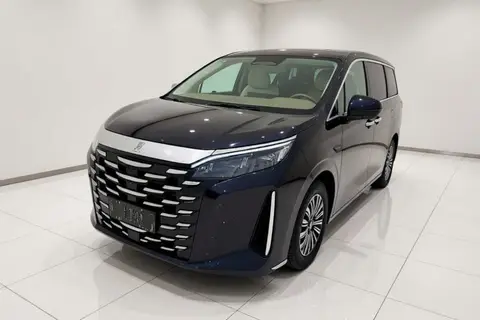 BYD Xia 2024