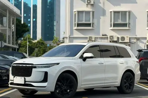 Li ONE 2021
