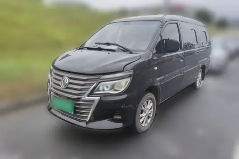 Forthing Lingzhi 2020