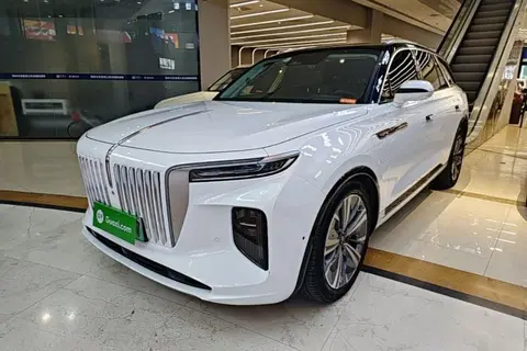 Hongqi E-HS9 2021
