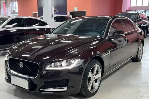 Jaguar XFL 2021