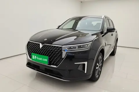 Venucia Star 2020
