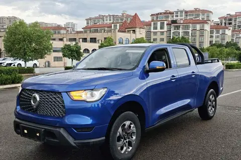 Great Wall Poer 2021