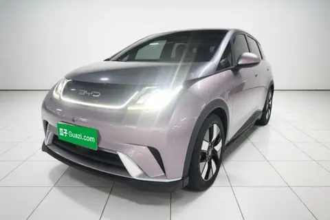 BYD Dolphin 2021