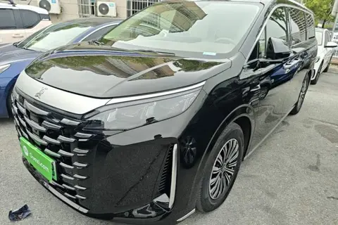 BYD Xia 2024