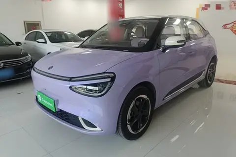 Dongfeng Nammi 01 2025