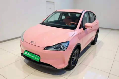 NETA V 2022