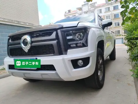 Great Wall King Kong Poer 2024